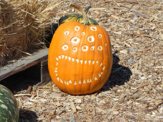 Multi Eye, Nipomo Pumpkin Patch best carving idea